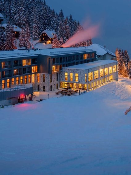 Hotel Montis