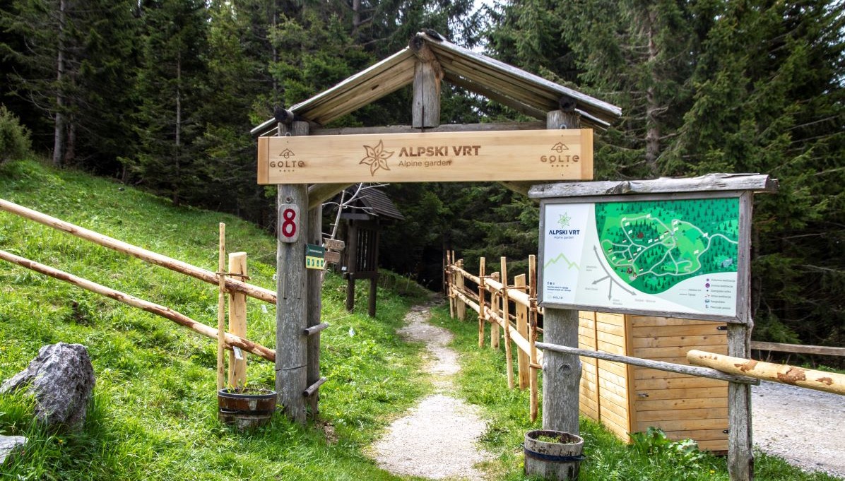 ALPINE  GARDEN