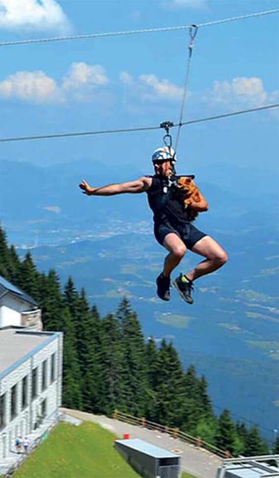 Zipline  hullámvasút